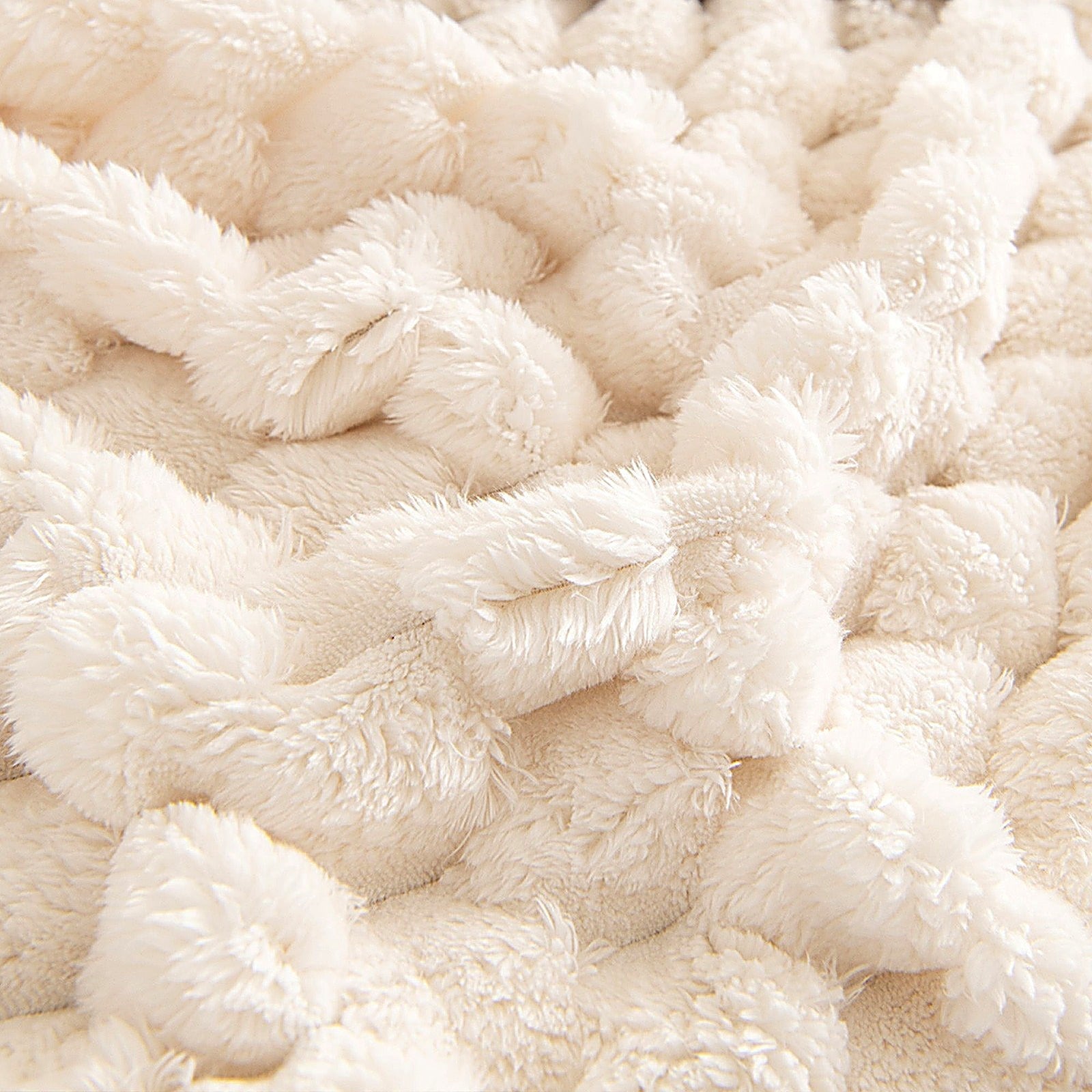 cozy chic cover cream macro